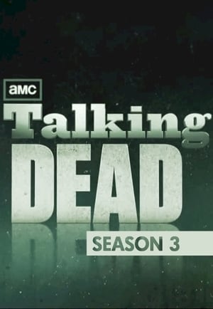 Talking Dead 3. évad (2013-10-13) poszter