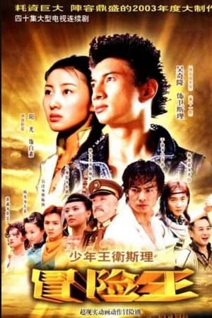 少年王卫斯理 1. évad (2003-05-08) poszter