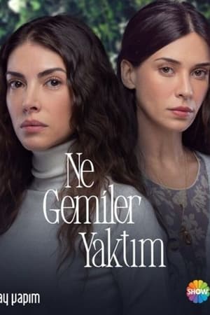 Ne Gemiler Yaktım poszter