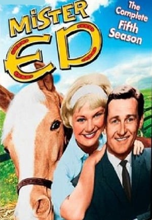 Mister Ed 5. évad (1964-10-04) poszter