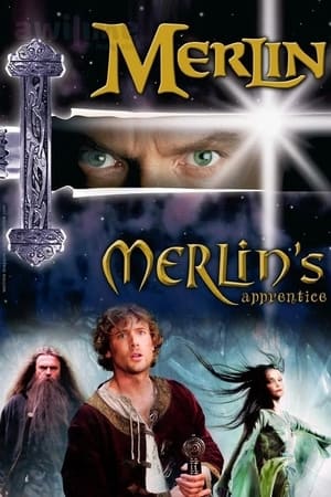 Merlin 2 - A varázslóinas poszter