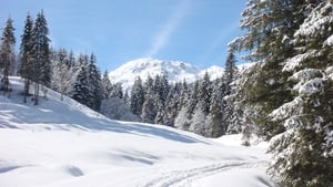 Weißblaue Wintergeschichten kép