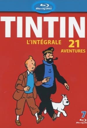 Tintin kalandjai poszter