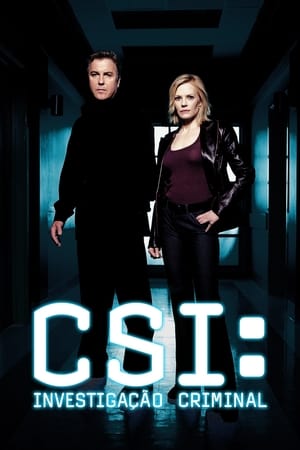 CSI: A helyszínelők poszter