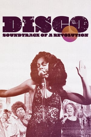 Disco: Soundtrack of a Revolution