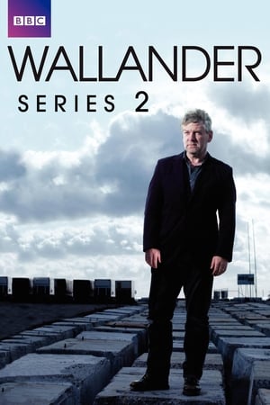 Wallander 2. évad (2010-01-03) poszter