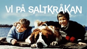 Vi på Saltkråkan kép