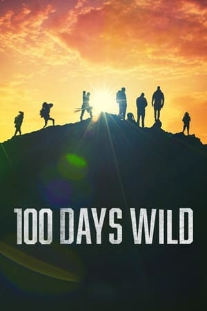 100 Days Wild poszter