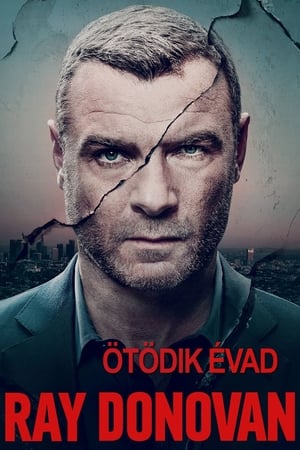 Ray Donovan 5. évad (2017-08-06) poszter