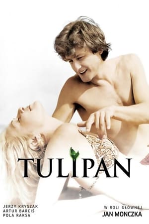 Tulipan poszter