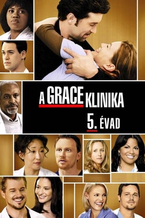 A Grace klinika 5. évad (2008-09-25) poszter