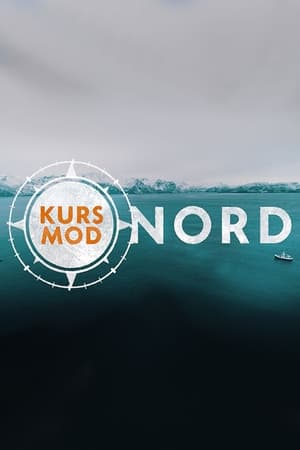 Kurs mod nord poszter