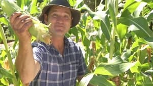 Gardening Australia 33. évad Ep.3 3. epizód