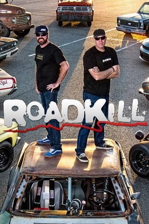 Roadkill poszter