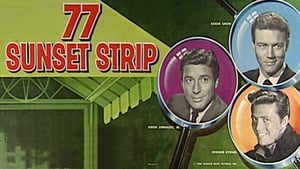 77 Sunset Strip kép