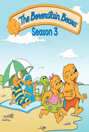 The Berenstain Bears 3. évad (2004-04-05) poszter