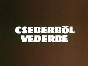 Vakáción a Mézga család 1. évad Ep.5 Cseberből vederbe