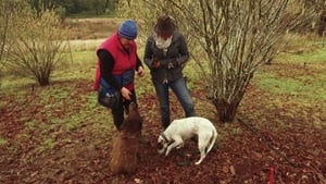 Gardening Australia 28. évad Ep.26 26. epizód