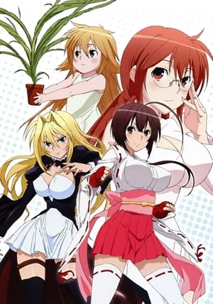 Sekirei poszter