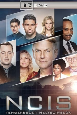 NCIS 17. évad (2019-09-24) poszter