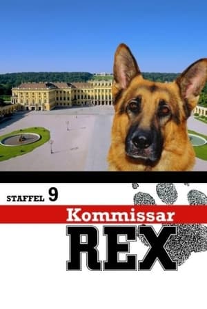 Rex felügyelő 9. évad (2003-11-27) poszter