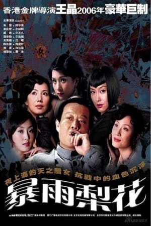 暴雨梨花 1. évad (2006-07-13) poszter