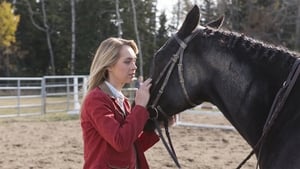 Heartland 6. évad Ep.13 13. epizód