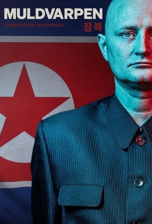 Muldvarpen - Undercover i Nordkorea poszter