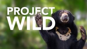 Project Wild kép