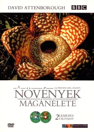 A növények magánélete