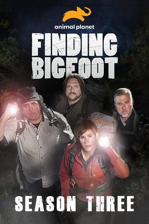 Finding Bigfoot 3. évad (2012-11-11) poszter