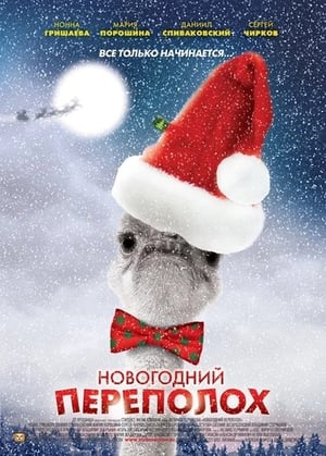 Новогодний переполох 1. évad (2012-02-12) poszter