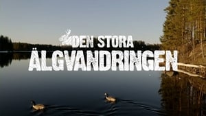 Den stora älgvandringen kép