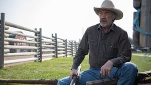 Heartland 13. évad Ep.3 3. epizód