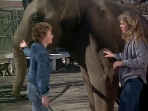 The Bionic Woman 1. évad Ep.5 5. epizód