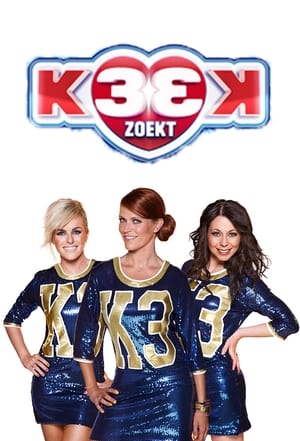 K3 zoekt K3 poszter