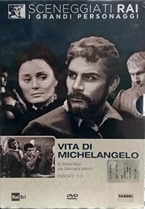 Vita di Michelangelo poszter