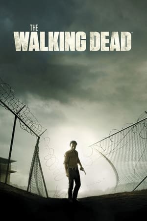 The Walking Dead poszter