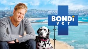 Bondi Vet kép