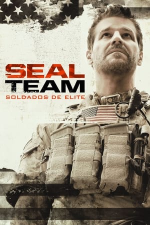 SEAL Team poszter