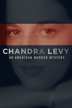 Chandra Levy: An American Murder Mystery poszter