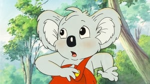 Blinky Bill kalandjai kép