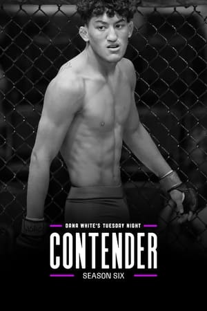 Dana White's Tuesday Night Contender Series 6. évad (2022-07-26) poszter