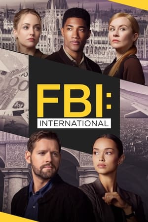 FBI: International poszter