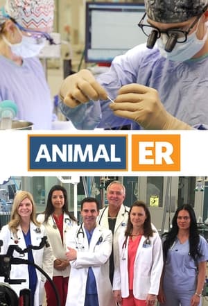 Animal ER poszter