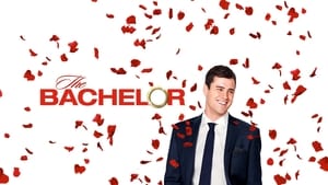 The Bachelor kép