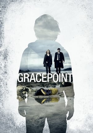 Gracepoint 1. évad (2014-10-02) poszter