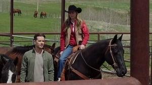 Heartland 13. évad Ep.1 1. epizód