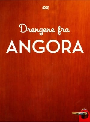 Drengene fra Angora poszter