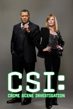 CSI: A helyszínelők poszter